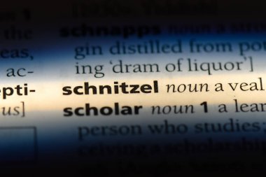 şnitzel Word'de bir sözlük. şnitzel kavramı.