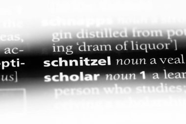 şnitzel Word'de bir sözlük. şnitzel kavramı.