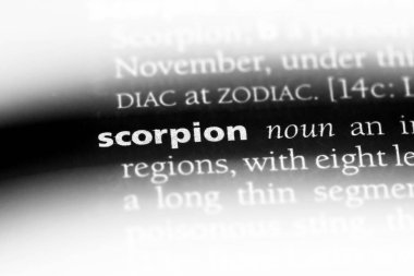 akrep Word'de bir sözlük. akrep kavramı.