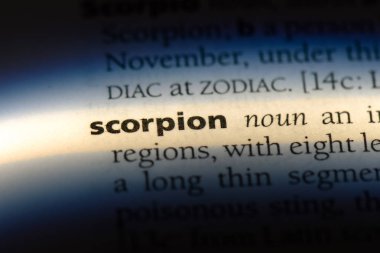 akrep Word'de bir sözlük. akrep kavramı.