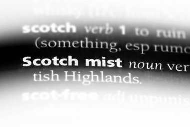 viski sis Word'de bir sözlük. viski sis kavramı.