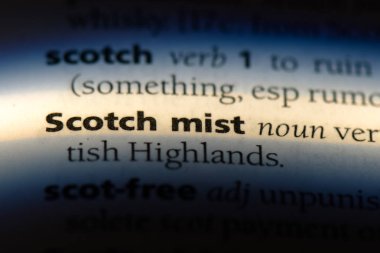 viski sis Word'de bir sözlük. viski sis kavramı.