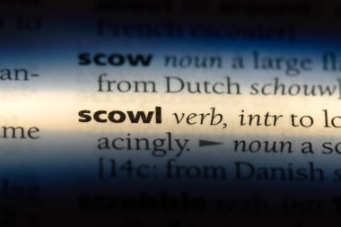 bir sözlüğü'ndeki sözcüğü sert bakış. kavram sert bakış.