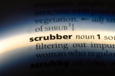 bir sözlüğü'ndeki Scrubber sözcüğü. serbest kaydırma kavramı.