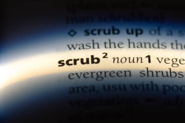 sözcük sözlükte fırçalayın. bodur kavramı.