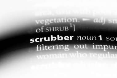 bir sözlüğü'ndeki Scrubber sözcüğü. serbest kaydırma kavramı.