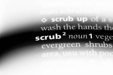 sözcük sözlükte fırçalayın. bodur kavramı.