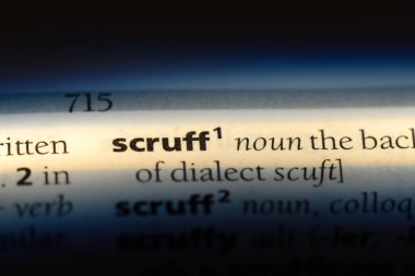 bir sözlüğü'ndeki scruff sözcüğü. scruff kavramı.
