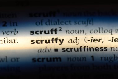 pis kelime sözlüğe. pis kavramı.