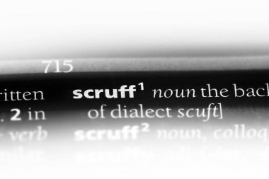 bir sözlüğü'ndeki scruff sözcüğü. scruff kavramı.