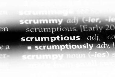 Tek kelimeyle şahane bir sözlük. Şahane kavramı.