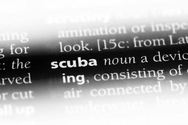 Tüplü Word'de bir sözlük. Tüplü kavramı.