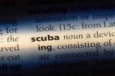 Tüplü Word'de bir sözlük. Tüplü kavramı.