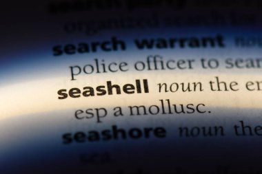 Seashell Word'de bir sözlük. Seashell kavramı.