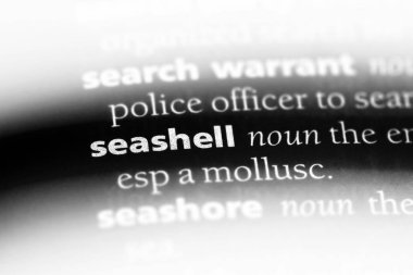 Seashell Word'de bir sözlük. Seashell kavramı.