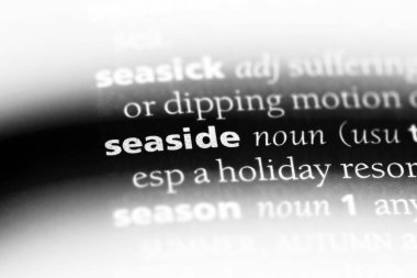 bir sözlüğü'ndeki sahil sözcüğü. Sahil kavramı.