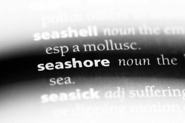 deniz kıyısı Word'de bir sözlük. deniz kıyısı kavramı.