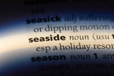 bir sözlüğü'ndeki sahil sözcüğü. Sahil kavramı.