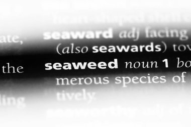 deniz yosunu Word'de bir sözlük. deniz yosunu kavramı.