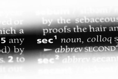 sn tek kelimeyle bir sözlük. sn kavramı.