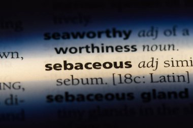 Sebasöz tek kelimeyle bir sözlük. Sebasöz kavramı.