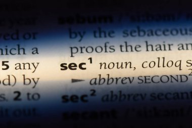 sn tek kelimeyle bir sözlük. sn kavramı.