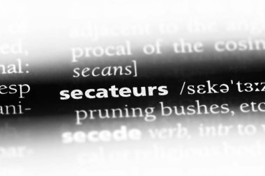 secateurs sözcük sözlüğe. secateurs kavramı.
