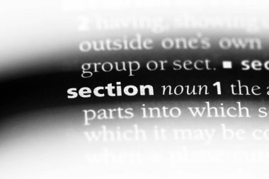 Bölüm Word'de bir sözlük. Bölüm kavramı.