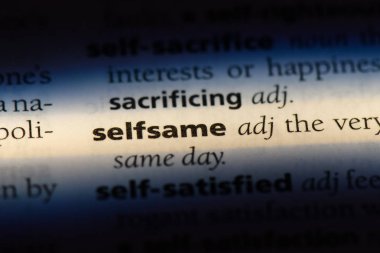 Tıpkı tek kelimeyle bir sözlük. Tıpkı kavramı.