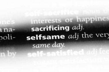 Tıpkı tek kelimeyle bir sözlük. Tıpkı kavramı.