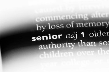 üst düzey tek kelimeyle bir sözlük. üst düzey kavramı.