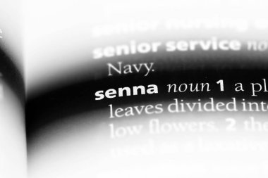 Sinameki Word'de bir sözlük. Sinameki kavramı.