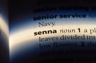 Sinameki Word'de bir sözlük. Sinameki kavramı.