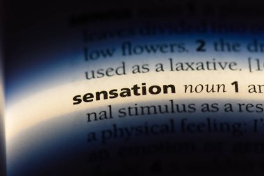 bir sözlüğü'ndeki hissi sözcüğü. hissi kavramı.