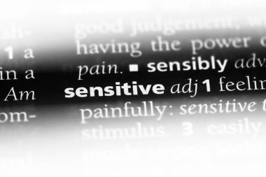 hassas tek kelimeyle bir sözlük. hassas kavramı.