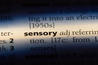 duyusal tek kelimeyle bir sözlük. duyusal kavramı.