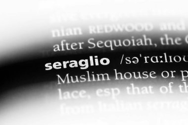 saraylı Word'de bir sözlük. saraylı kavramı.