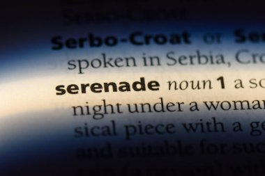 bir sözlüğü'ndeki sözcüğü serenat. serenat kavramı.