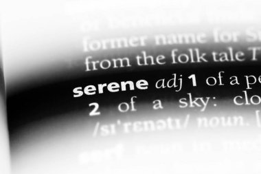 sakin tek kelimeyle bir sözlük. sakin kavramı.