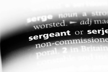 Çavuş Word'de bir sözlük. Çavuş kavramı.