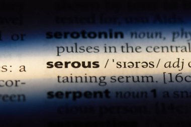 seröz tek kelimeyle bir sözlük. seröz kavramı.