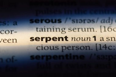 yılan Word'de bir sözlük. yılan kavramı.