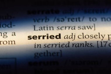 serriate sözcük sözlüğe. serriate kavramı.