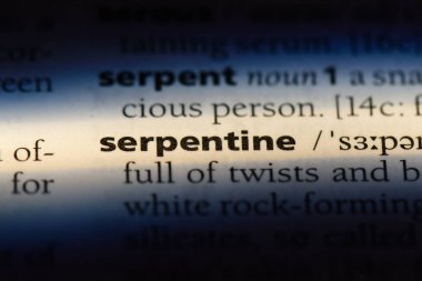 yılan gibi tek kelimeyle bir sözlük. serpantin kavramı.