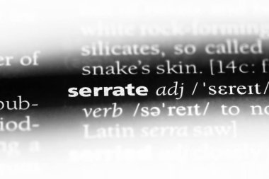 serrate tek kelimeyle bir sözlük. serrate kavramı.
