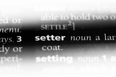 Setter Word'de bir sözlük. gelişim kavramı.