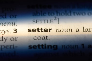 Setter Word'de bir sözlük. gelişim kavramı.