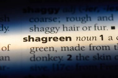 shagreen tek kelimeyle bir sözlük. shagreen kavramı.