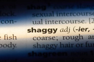 Shaggy tek kelimeyle bir sözlük. Shaggy kavramı.