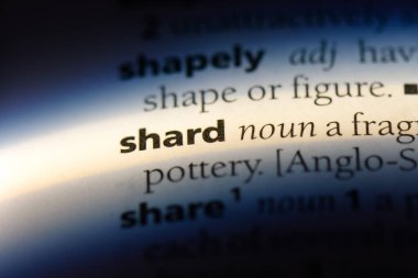 bir sözlüğü'ndeki 